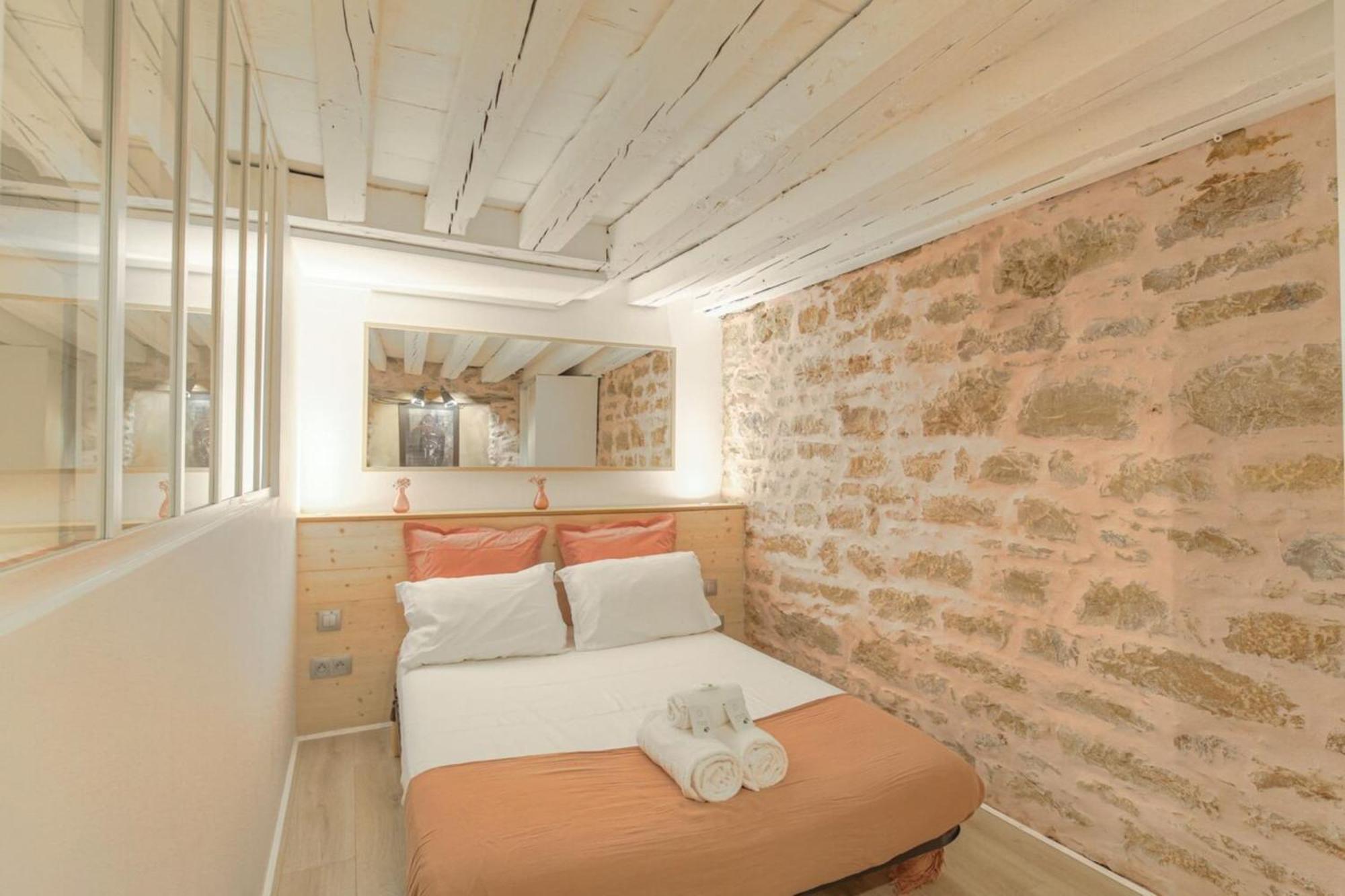 Appartement Duplex De Caractere En Hypercentre à Lyon Extérieur photo