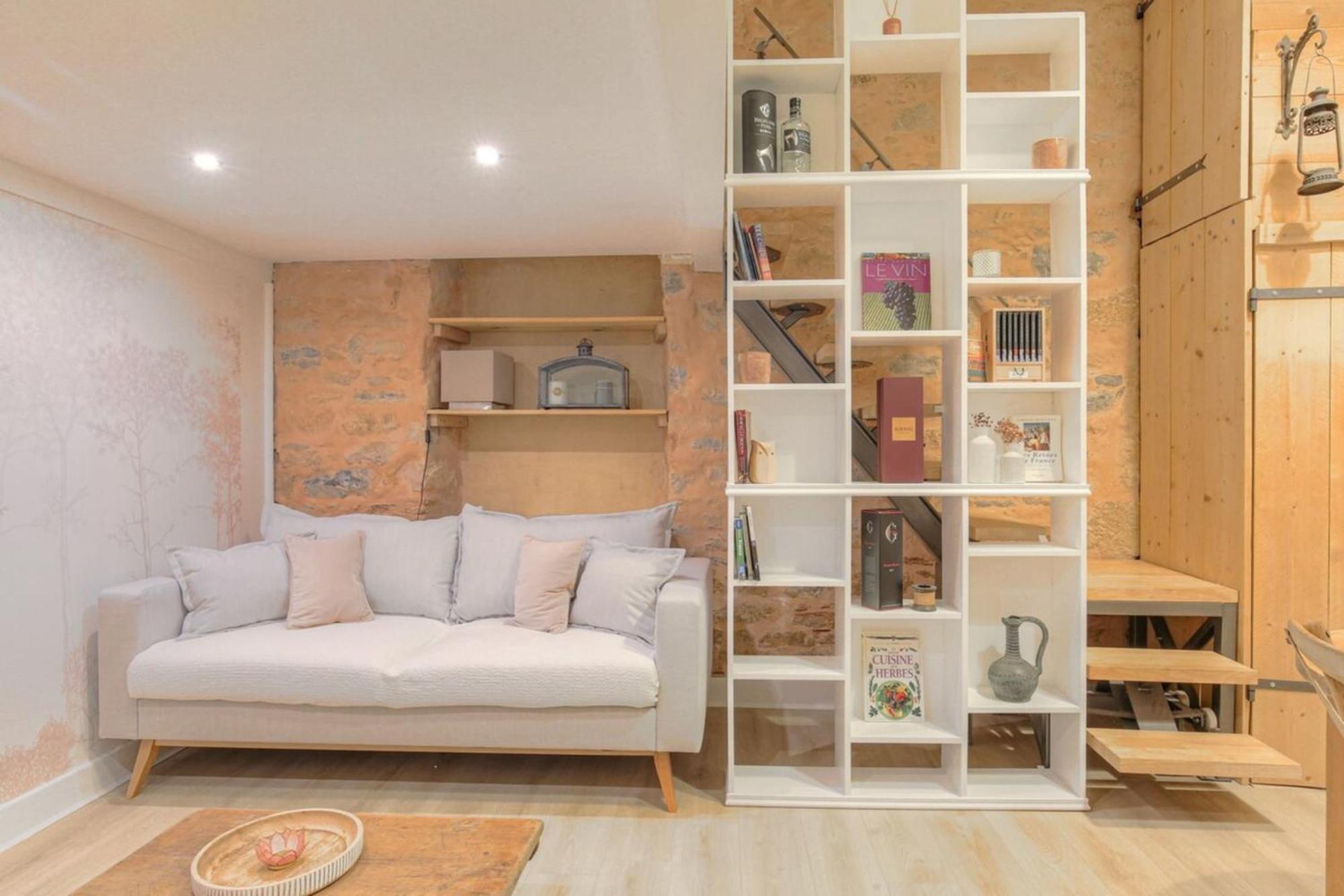 Appartement Duplex De Caractere En Hypercentre à Lyon Extérieur photo